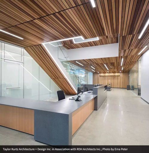 來自木材的靈感 室內裝修篇